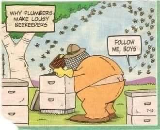 FB_IMG_1695801632328