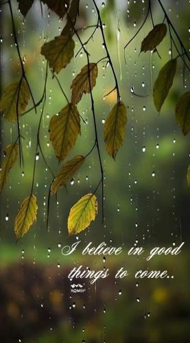 FB_IMG_1695378657213