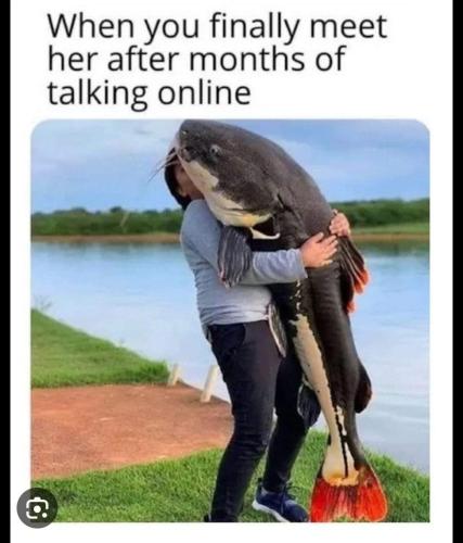 FB_IMG_1695097956007