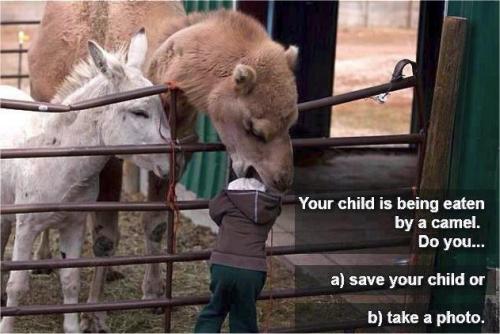 your child is being eaten