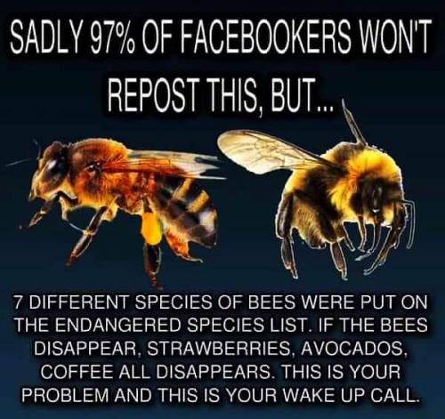 FB_IMG_1694185605528
