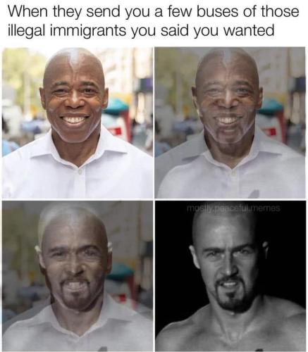 Illegals 1