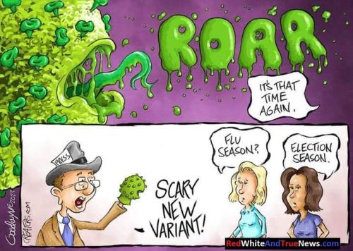 FB_IMG_1694000364779