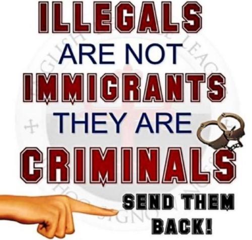 illegal:criminal g