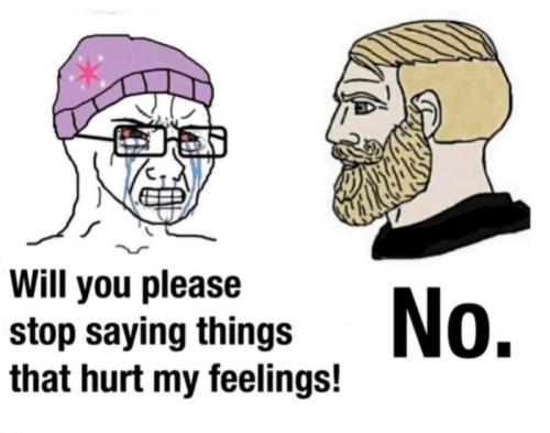 will you please stop saying things that hurt my feelings chad