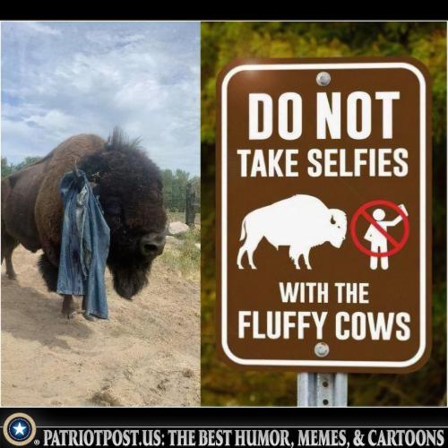 do not take selfies