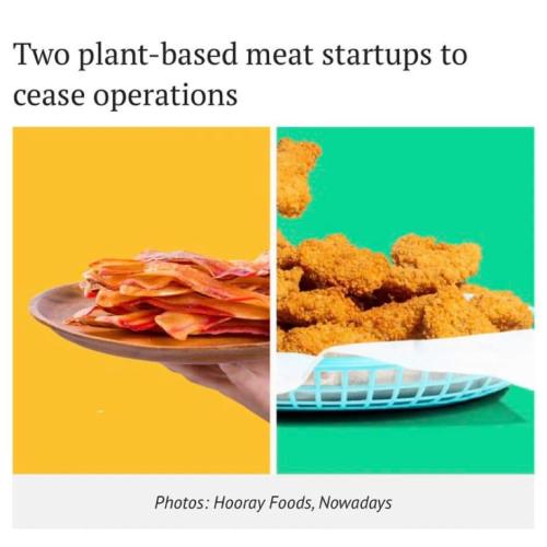 plant based fail