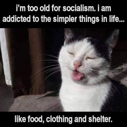 socialism111