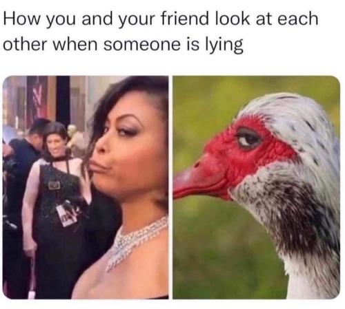 FB_IMG_1695863342583