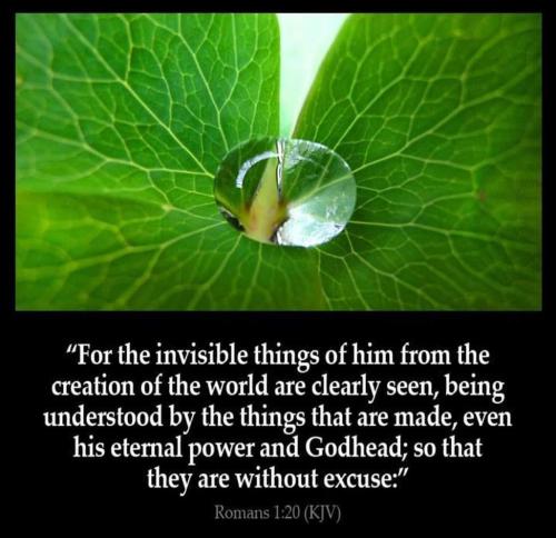 fe113d89-f6b2-481d-9ce3-1992d248d7e2