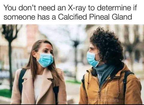 FB_IMG_1694184361969