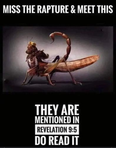 4dda3bff-4784-49ba-89ad-ed8aa8a5caf5