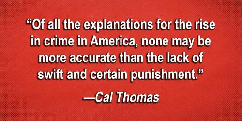 01HA5BT1WN9MJAQ71K61X8K82B