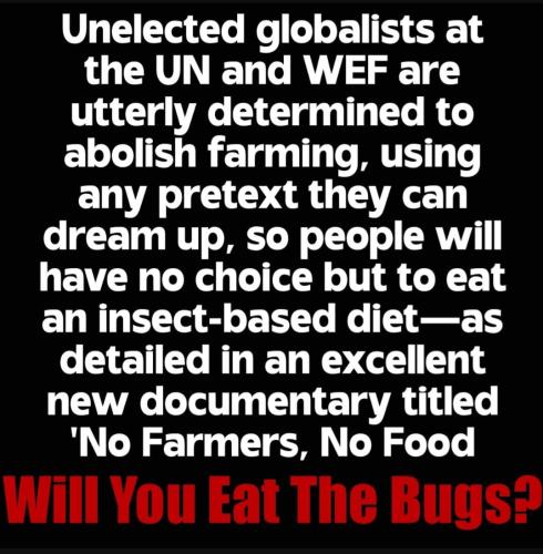 Screenshot_20230930_182041_YouTube