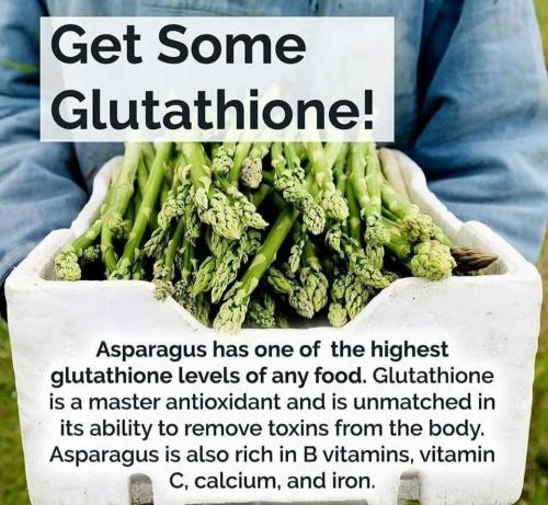 Asparagus and Glutathione