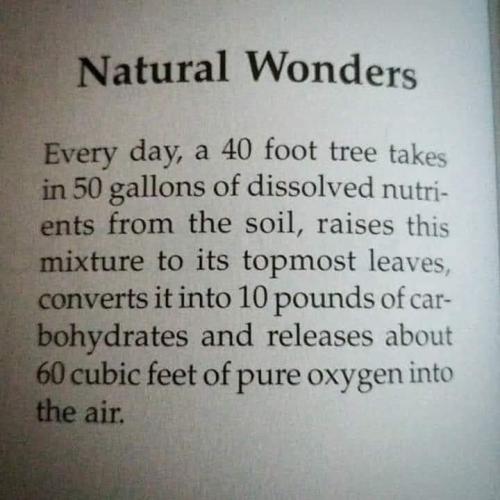 natural wonders