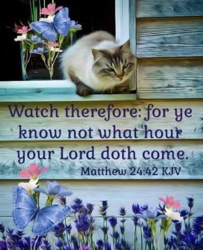 126a6bac-6e86-47ba-a83f-09796d6bb6dc