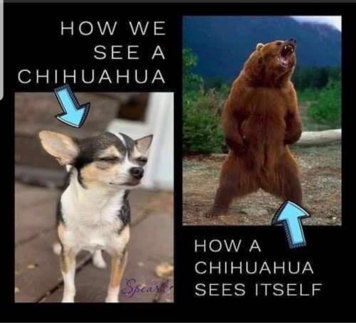 Screenshot_20230926-204901_MeWe