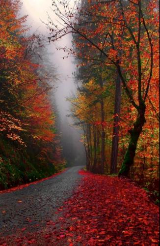 7C7D837F-F726-4006-B7A6-F8FDA97C9C79