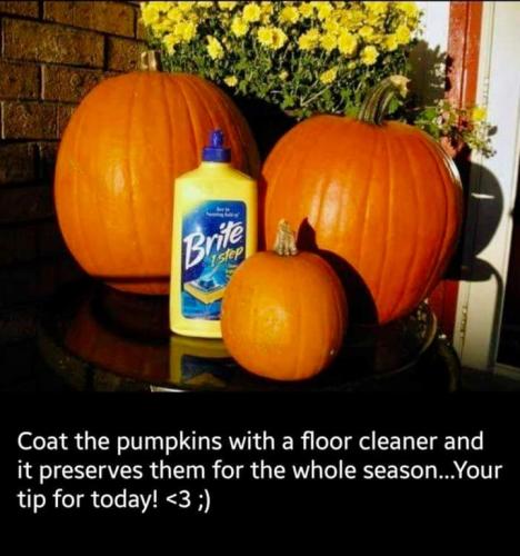 FB_IMG_1693765424852