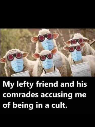 FB_IMG_1694777435999