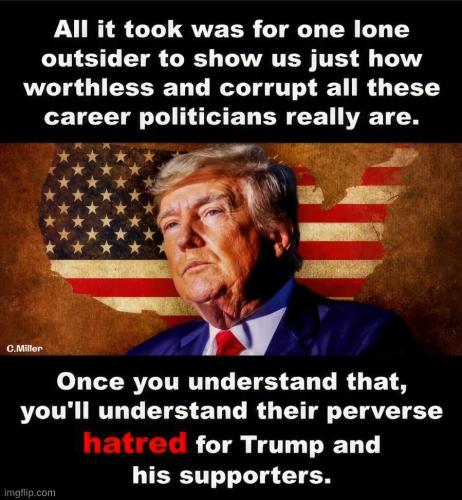 hatred for Trump