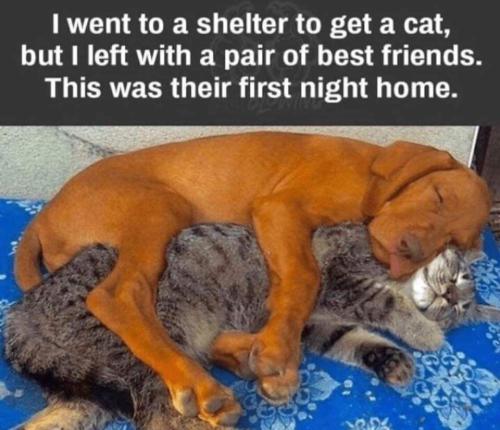 FB_IMG_1695832554153