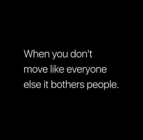 FB_IMG_1695354439539