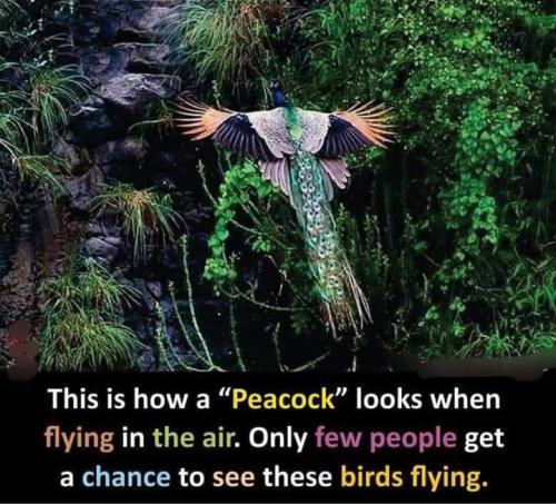 FB_IMG_1695972171581
