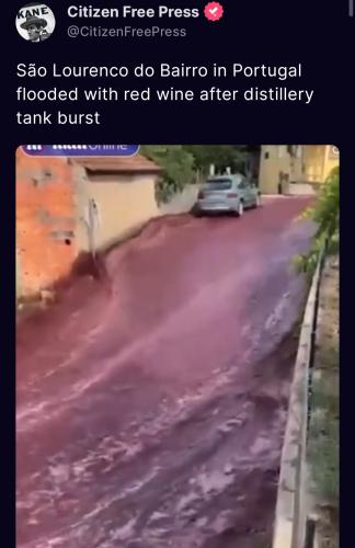 Screenshot_20230911_112954_Truth Social