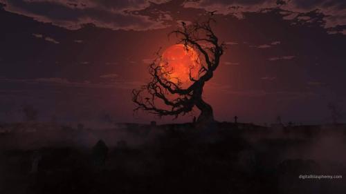 tumblr_b79963367f17be3d66f2797303170969_46bd2c45_1280