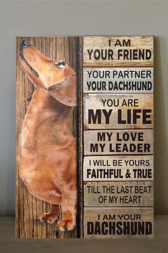 FB_IMG_1695015433580