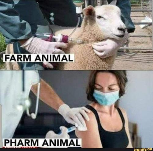 FB_IMG_1694709234537