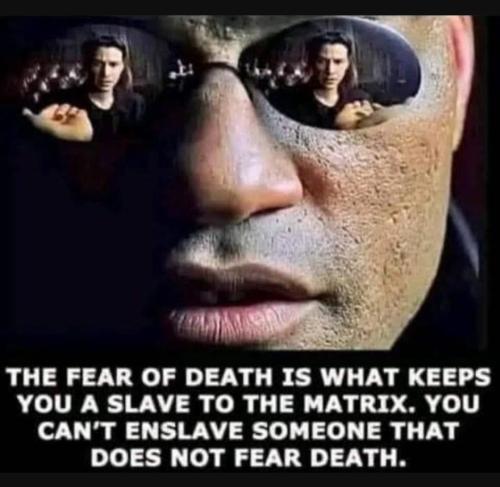 Screenshot_20230905_035337_YouTube