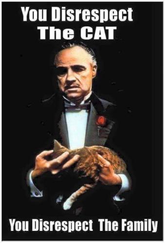 FB_IMG_1694465940187