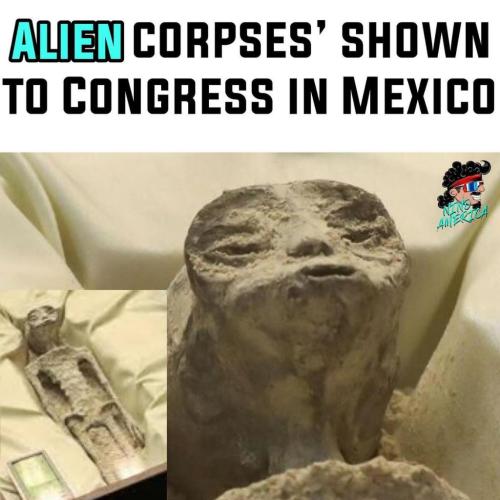 Alien corpses shown Congress are 🛸