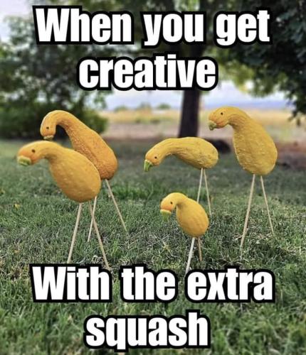 FB_IMG_1695851157179