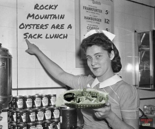 380258907_272445218961830_4801500883702180756_n