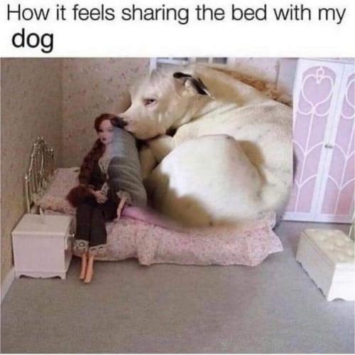 FB_IMG_1694157279011