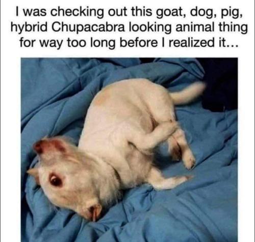 FB_IMG_1694558273509