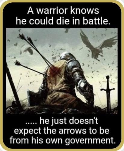 3ba715db2a9da89d1e1733ab2f500dc5_768x0