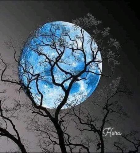 FB_IMG_1693727009991