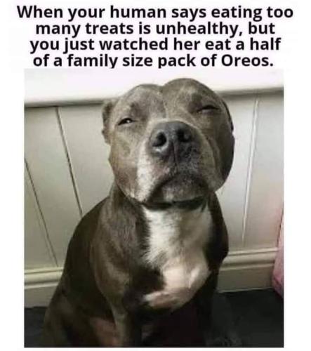 FB_IMG_1693827380181