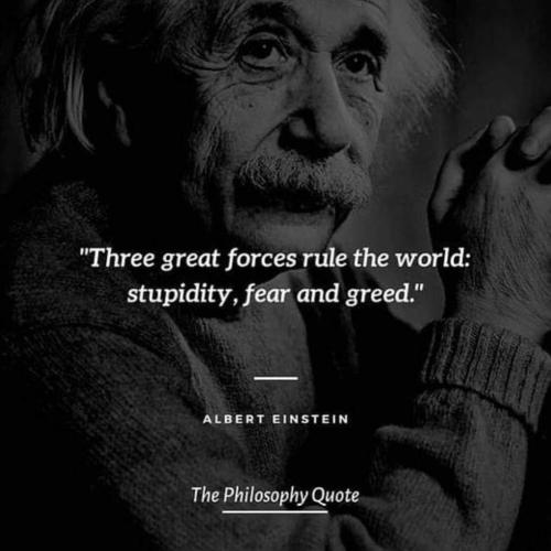 FB_IMG_1693914836224