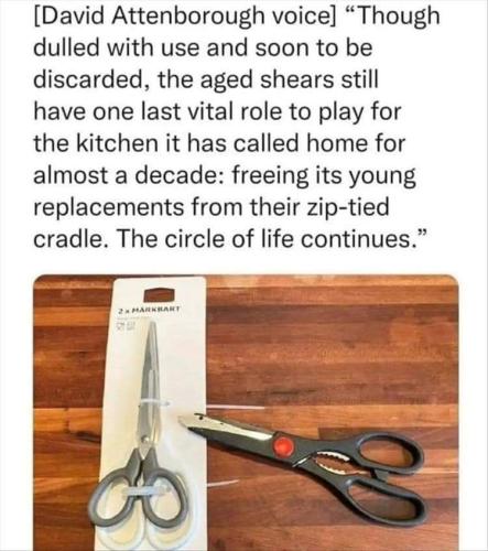 scissor life