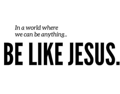 de3fed81-4b42-4557-a9a6-29cd9842c701