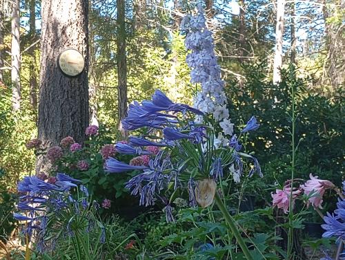 IMG_20230907_122322236