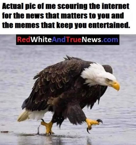 FB_IMG_1694091778414