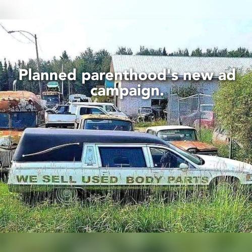 GridArt_20230925_155603710