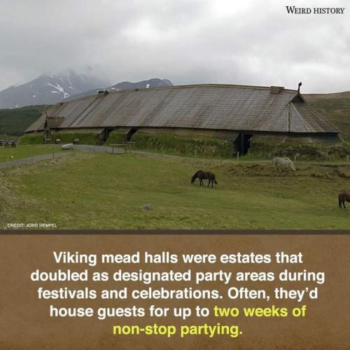 FB_IMG_1695124079212